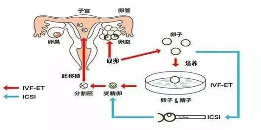 经期同房