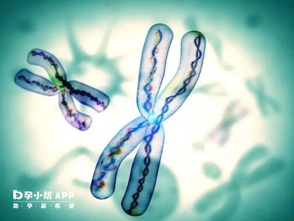 经期性生活