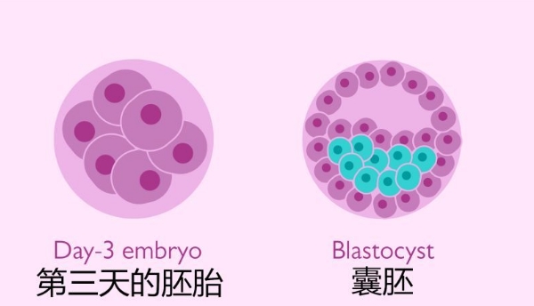 经期同房