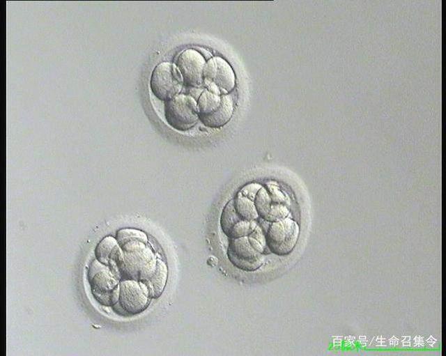经期同房