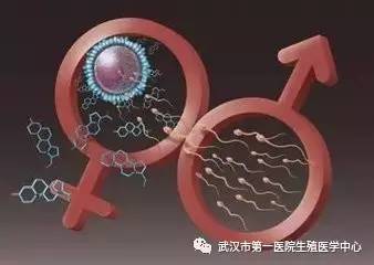 经期同房