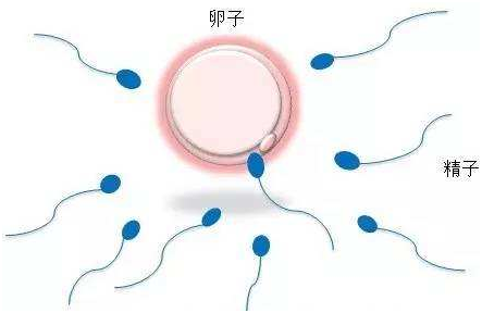 经期同房