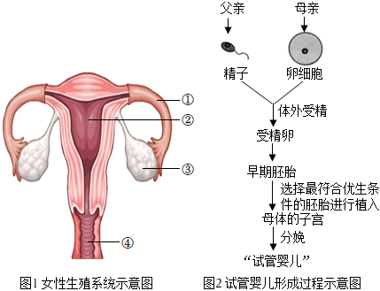 经期戴套同房