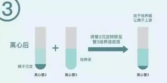 经期同房