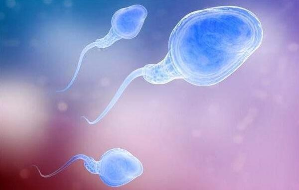 经期性生活