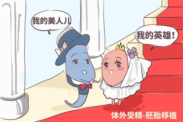 经期同房