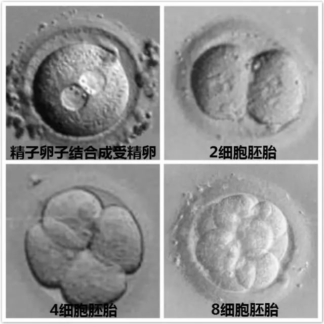 经期同房