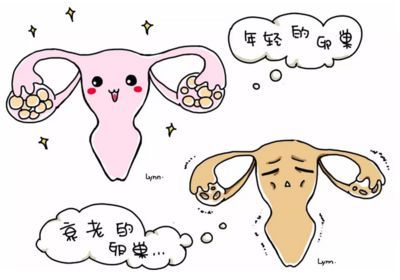 经期同房