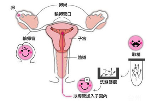 经期同房