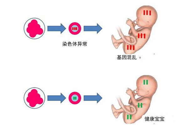 经期同房