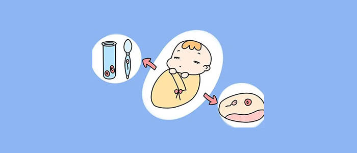 经期性生活